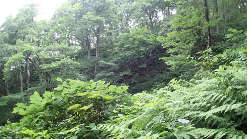 e0024081_13182377.jpg