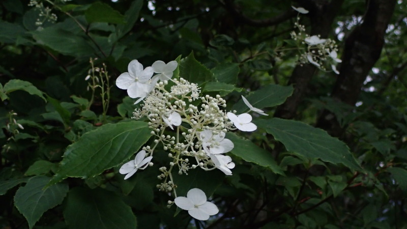 e0024081_13222388.jpg
