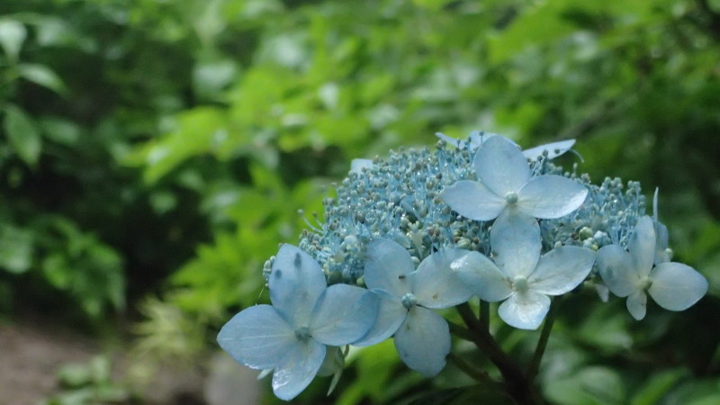 e0024081_13341313.jpg