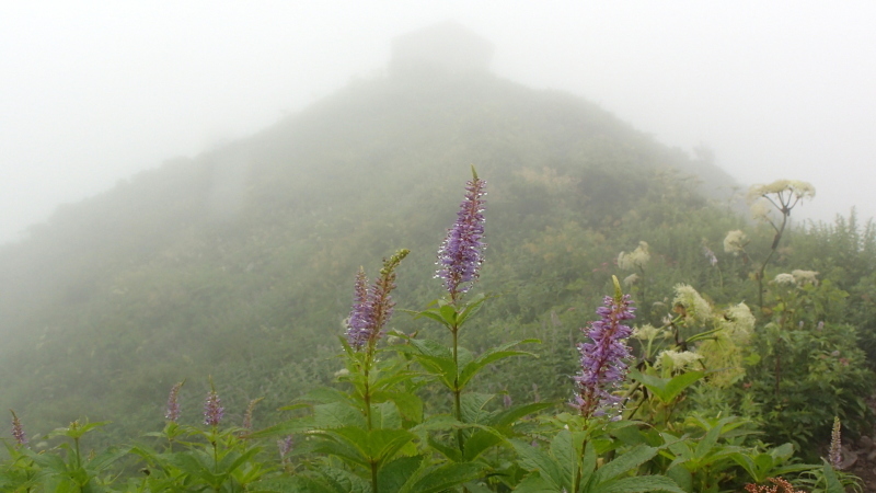 e0024081_13421091.jpg