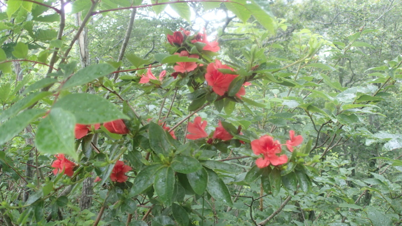 e0024081_13535063.jpg
