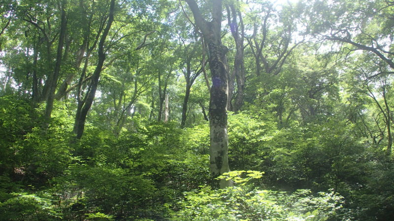e0024081_14022663.jpg