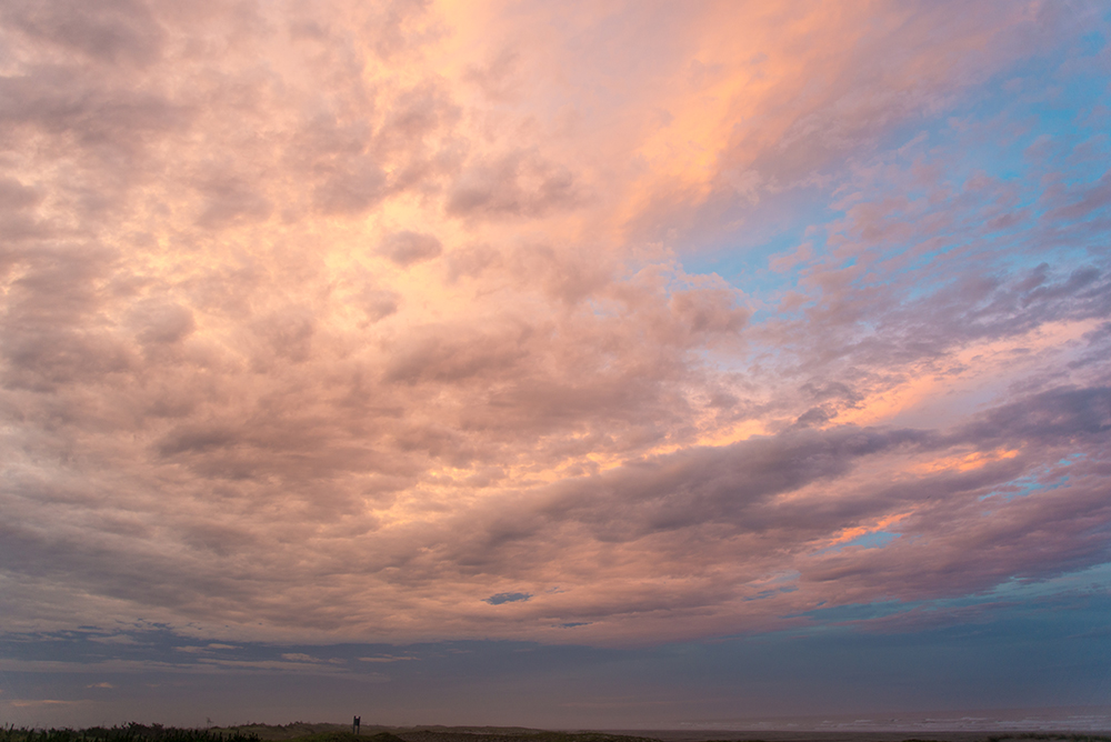 北東の空がピンク色に染まる夕方。_c0226687_20114780.jpg