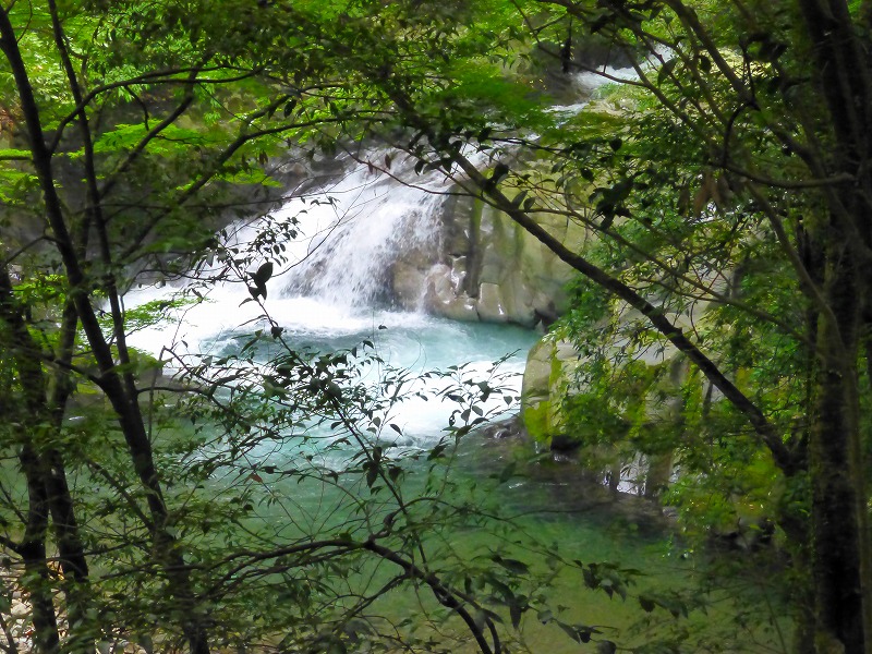 涼やかな水辺散策　天城でのんびり滝めぐり_f0182513_23224751.jpg