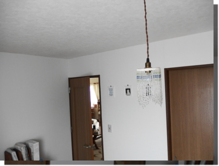 a0114514_21313535.png