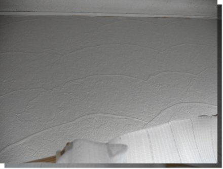 a0114514_21332973.png