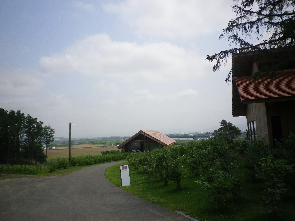e0052716_10333948.jpg