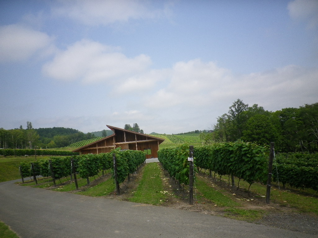 e0052716_10335098.jpg