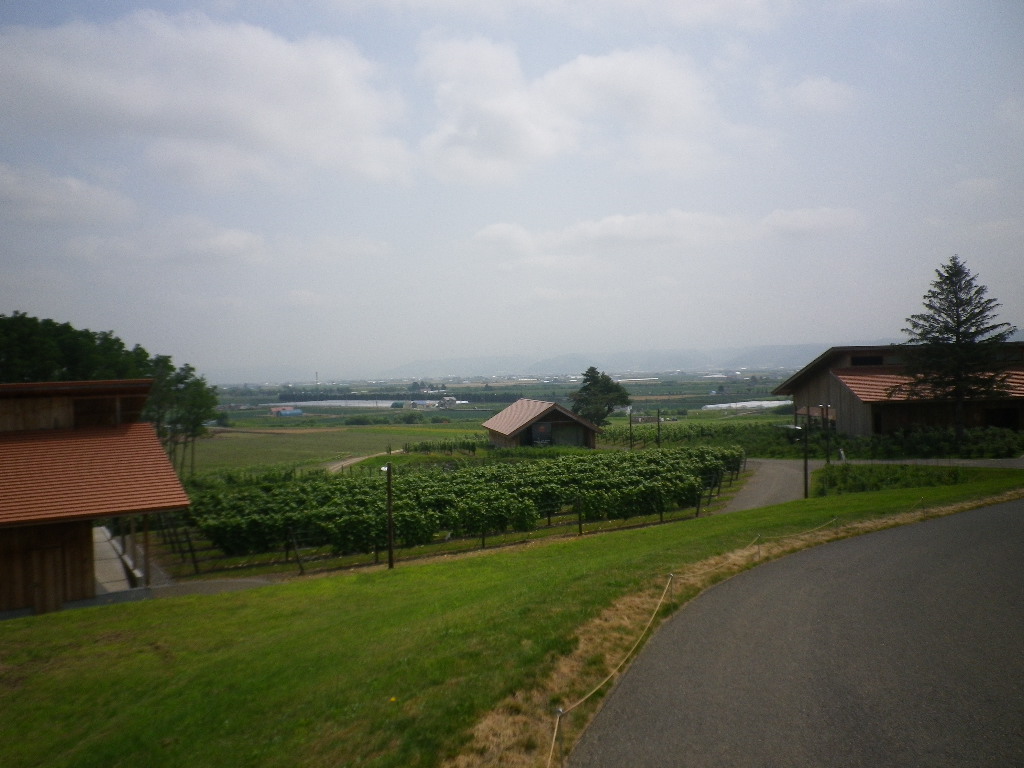 e0052716_1034153.jpg