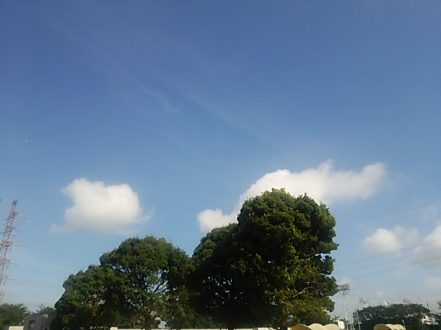 c0150520_1545740.jpg
