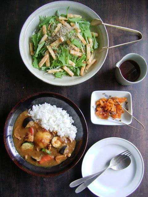 カレーとサラダ盛ってみました・2_b0206421_16321559.jpg