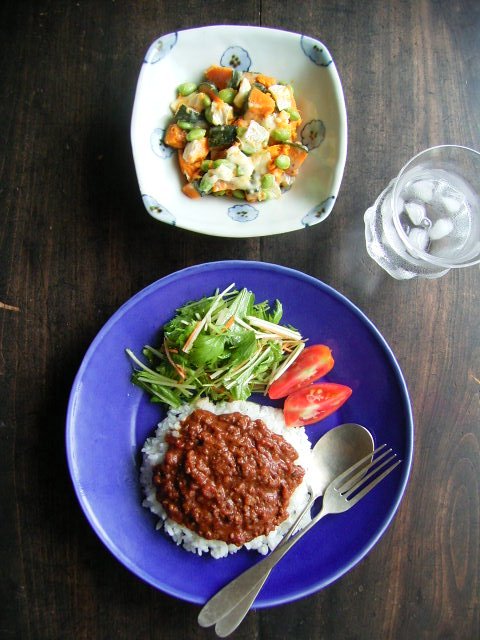 カレーとサラダ盛ってみました・2_b0206421_16461151.jpg