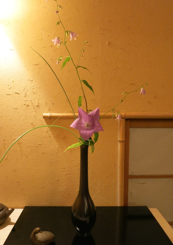 a0197730_0385645.jpg