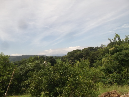 b0137932_13491615.jpg