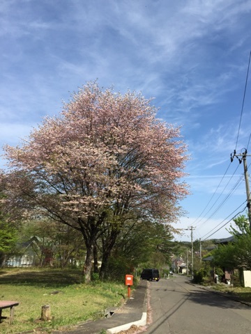 e0353732_14501219.jpg