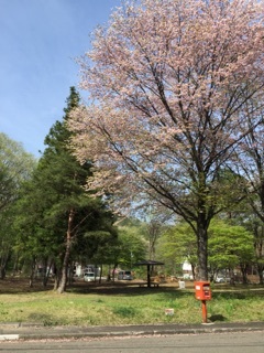 e0353732_14501348.jpg