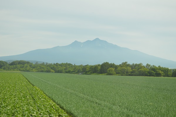 f0034334_00850.jpg