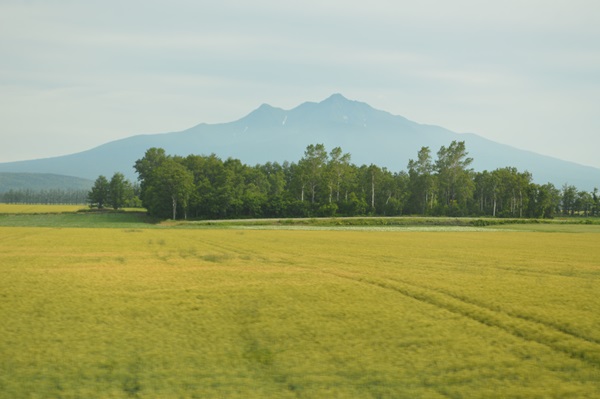 f0034334_012345.jpg