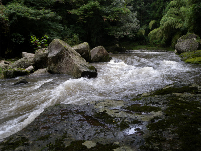 e0272335_89654.jpg