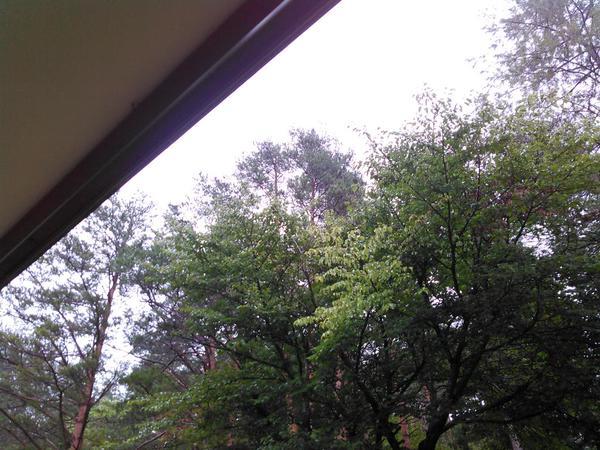 まとまった雨に、大地の喜びが聞こえてきました!_b0206037_13432946.jpg