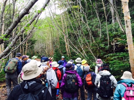 15前期 みどり学(エクセレント)講座 富士山御庭野外学習 _e0211937_1612569.jpg