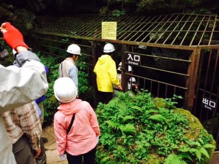 15前期 みどり学(エクセレント)講座 富士山御庭野外学習 _e0211937_161277.jpg