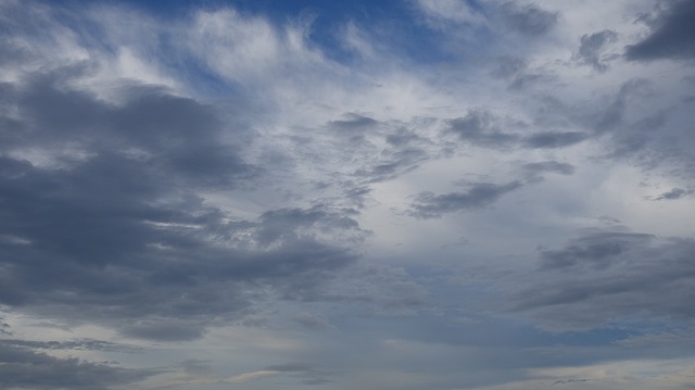 『マダム・シルク』と空に雲_b0122645_0193728.jpg