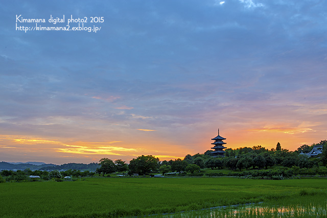 備中国分寺の夕景　7/23_f0324756_21531495.jpg