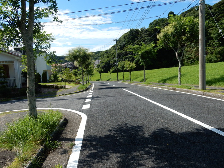 ’15、7,24(金)暑い!暑い!暑い!_f0060461_1448257.jpg