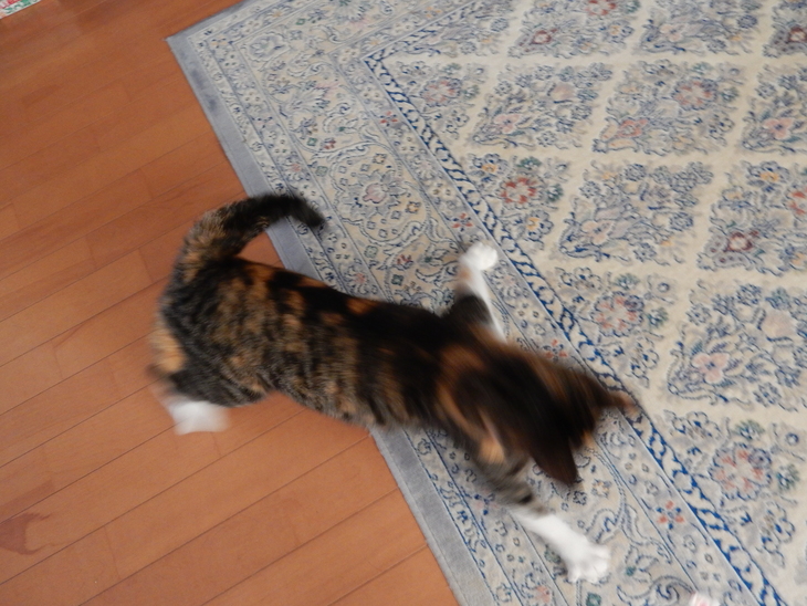 ’15、7,24(金)暑い!暑い!暑い!_f0060461_1494966.jpg