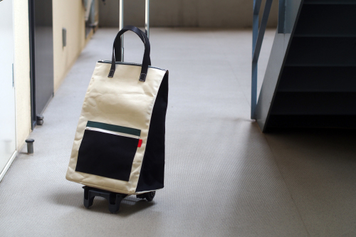 CARRY BAG 5 COLORS_e0243765_09060426.jpg
