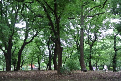 上野動物園＆ディズニーランド　_d0240469_87541.jpg