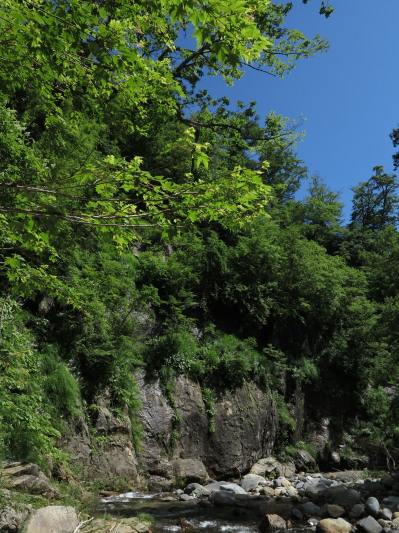 c0197578_18474392.jpg