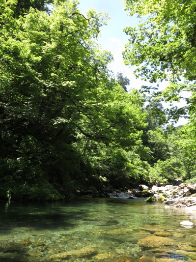 c0197578_1971045.jpg