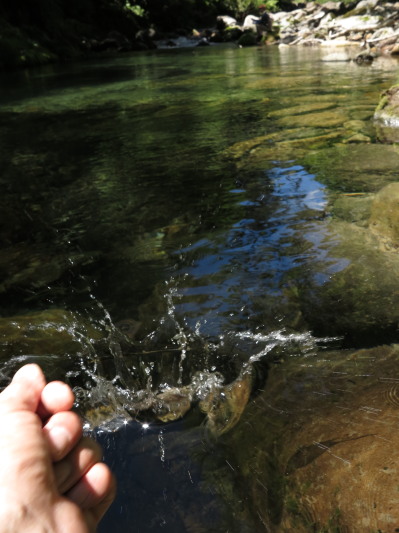 c0197578_1993495.jpg