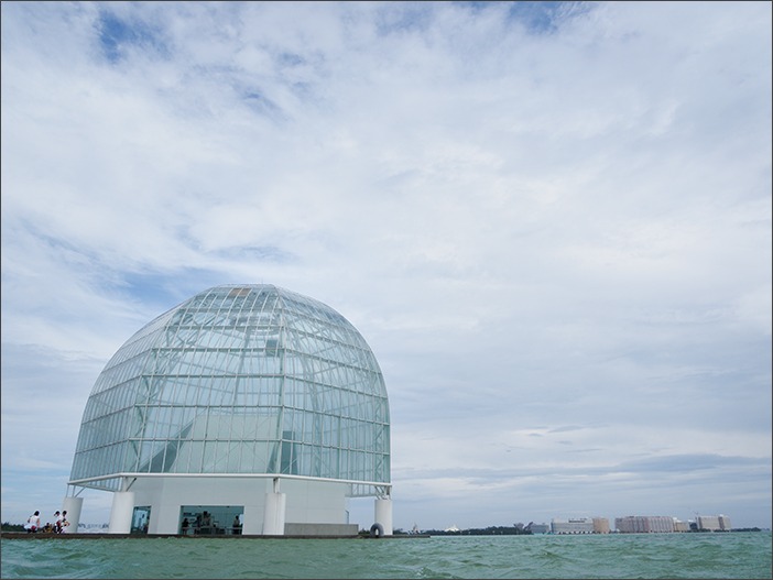 夏の水族館！_a0161380_1243494.jpg