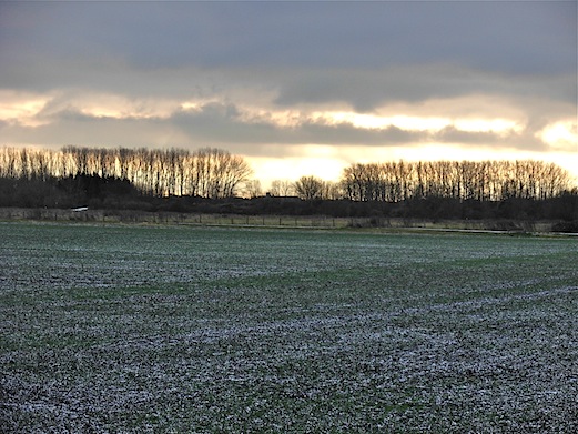 c0229584_3375990.jpg