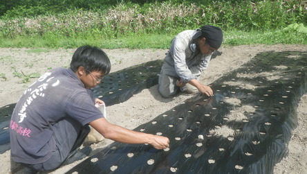 滝上農場だより　2015.07.23-24_c0366984_15362753.jpg