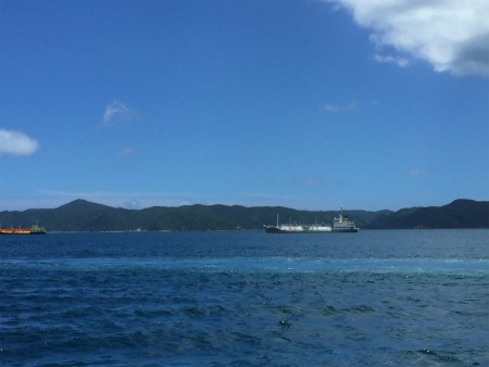 大島海峡、波立ってきたー。_e0028387_14443118.jpg