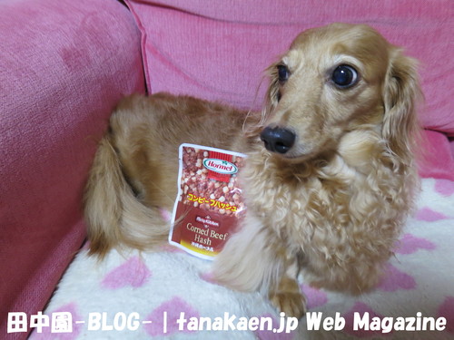 夏バテ気味・・・_b0200291_2295884.jpg