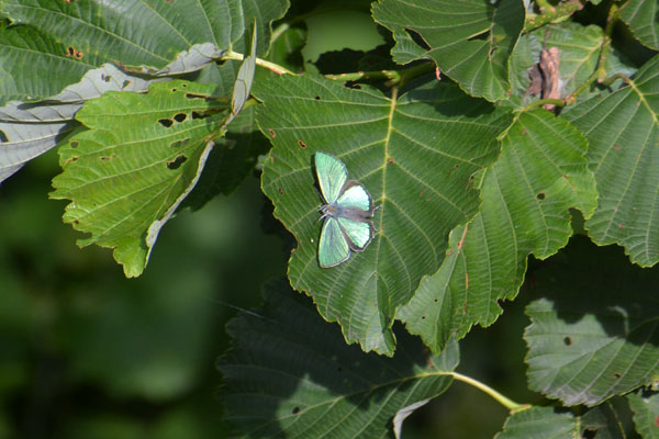 c0049095_2359136.jpg