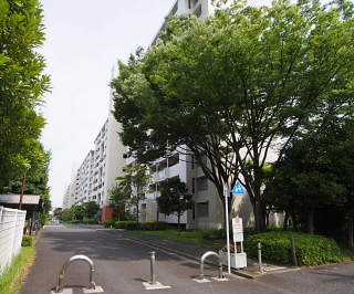 c0039501_17434895.jpg