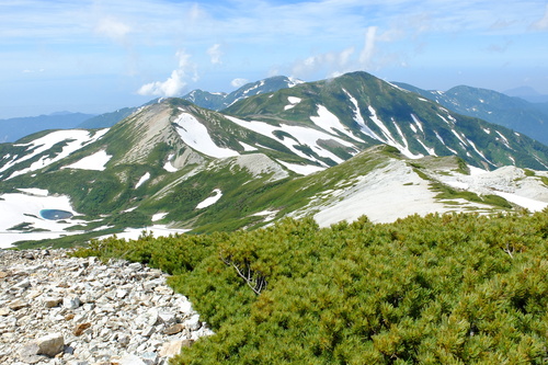 花の白馬岳④白馬大池から白馬岳へ_e0304001_1457774.jpg