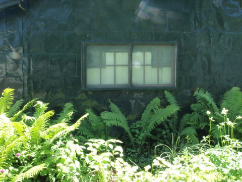 旅は道連れ、トラブル続き･･･････北海道番外編_b0331802_23105595.jpg