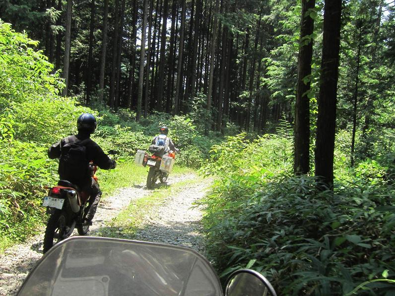 e0118908_237291.jpg