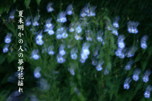 夏未明_e0099713_21493380.jpg