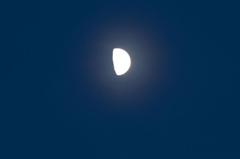 a0278914_20394525.jpg