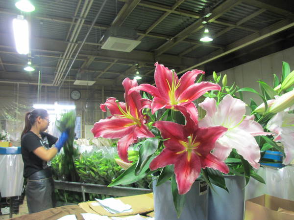 7月も下旬☆_f0067514_1321995.jpg