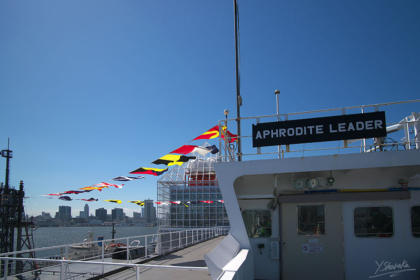 f0344614_1133374.jpg