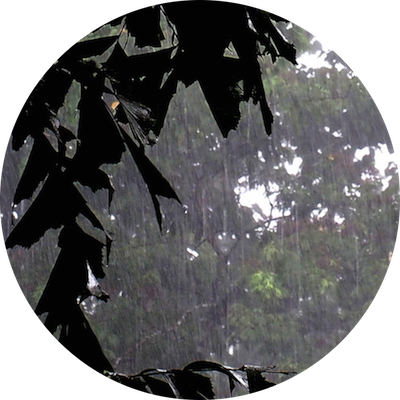 d0090322_2343724.png